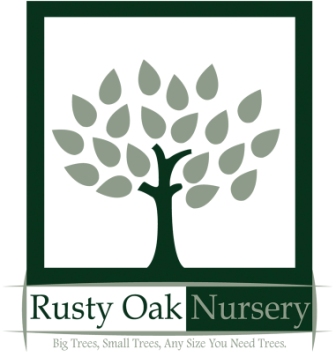 Rusty Oak Nursery LTD Logo